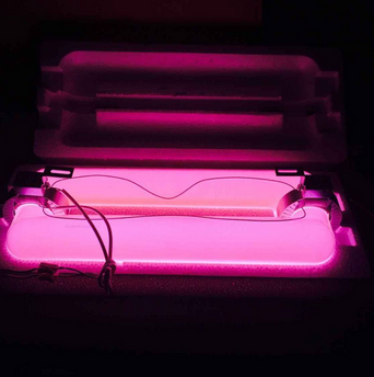 Induction grow lights for plants